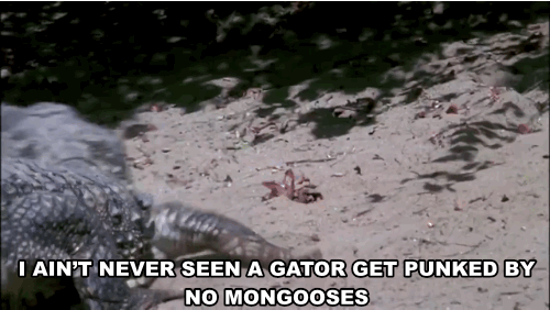 anigif_enhanced-4577-1452892759-8