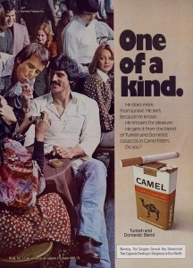 camel stache 2