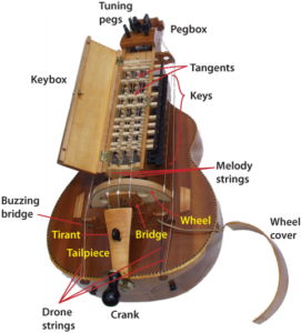 hurdy gurdy