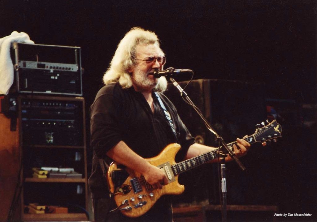 guitars_gallery_wolf_6